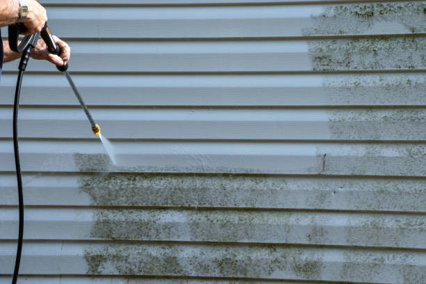 Best Foreclosure Cleanout  in Mcfarland, WI